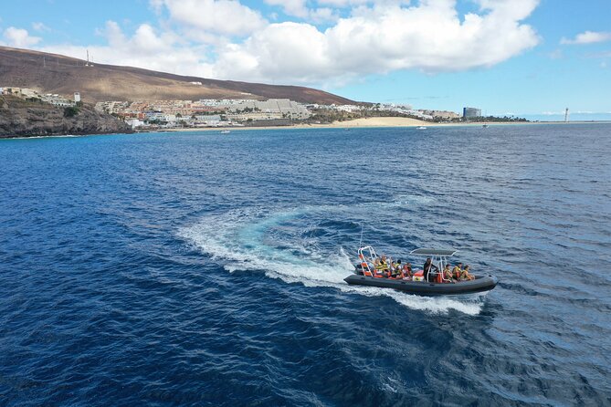 2h Dolphin and Whale Viewing + Snorkeling Tour - Speeding along the Fuerteventura coast