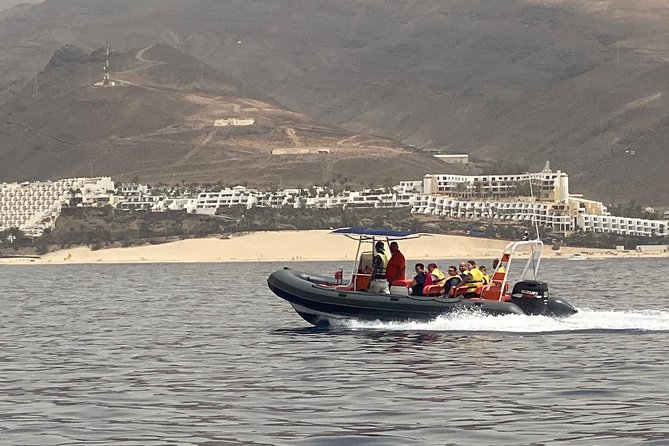 2h Dolphin and Whale Viewing + Snorkeling Tour - How long the experience really feels