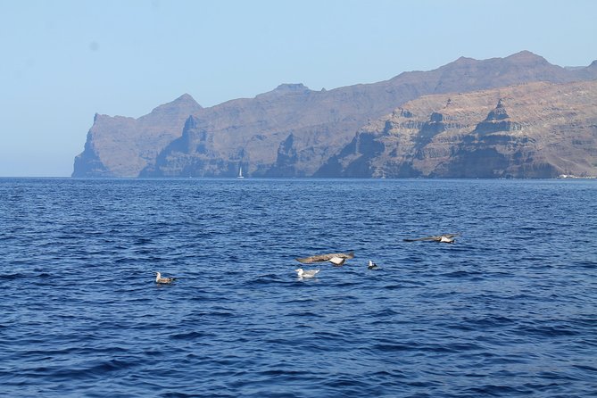 3h Boat Trip + Snorkeling in Puerto de Mogan - What the $71.35 price really covers
