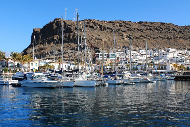 3h Boat Trip + Snorkeling in Puerto de Mogan - Families, beginners, and non-swimmers