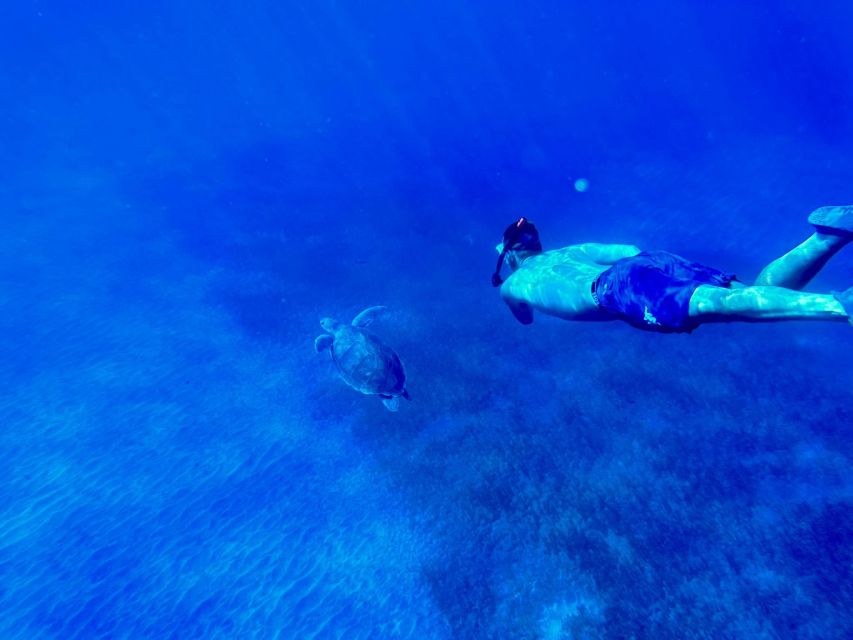 Abades: Guided Snorkeling Tour with Photos - Playa Abades snorkeling: what makes this outing special