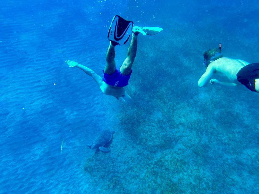 Abades: Guided Snorkeling Tour with Photos - How the guides handle nervous swimmers