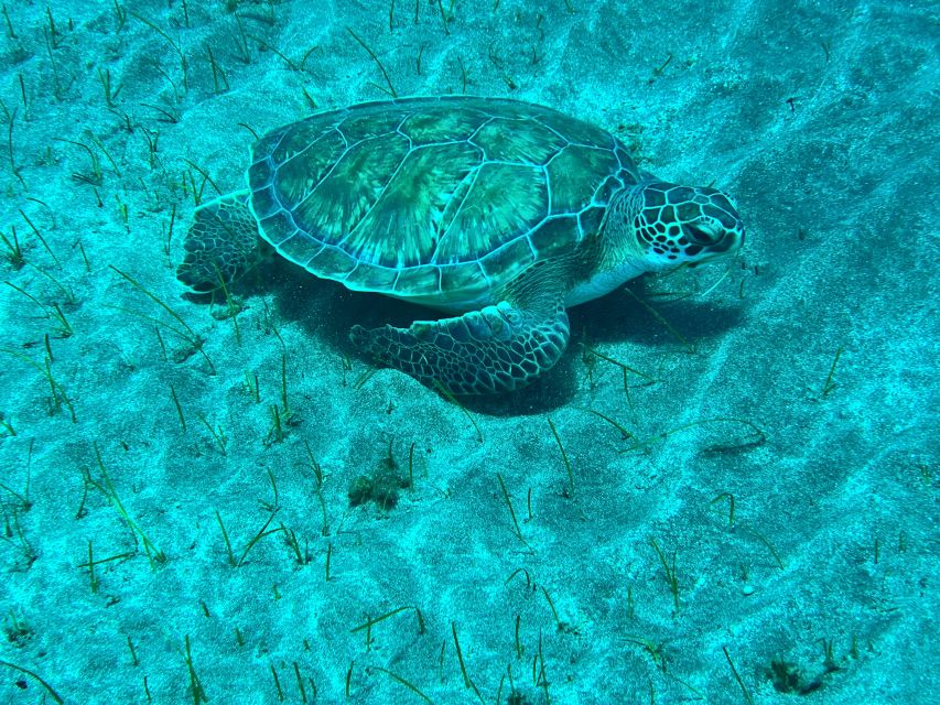 Abades: Guided Snorkeling Tour with Photos - Meeting at Magilu restaurant