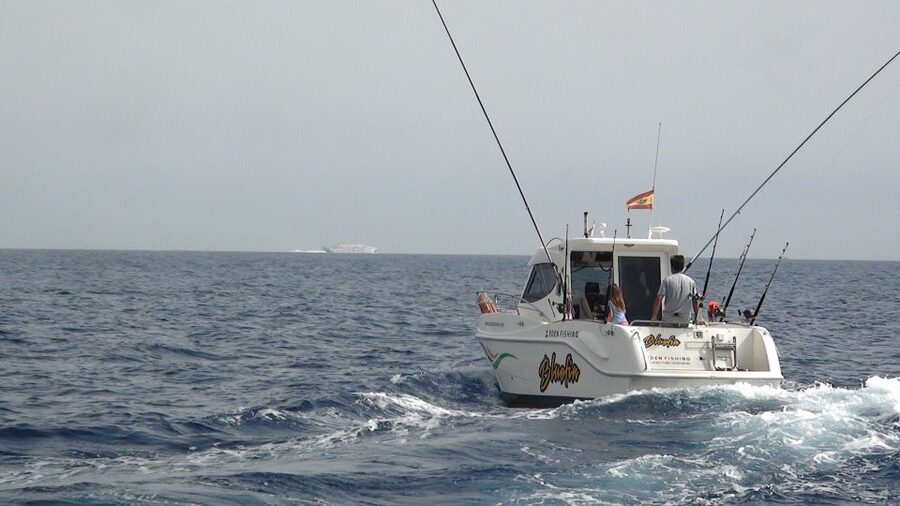 Adeje: 3.5–Hour Professional Fishing Experience - Key points at a glance