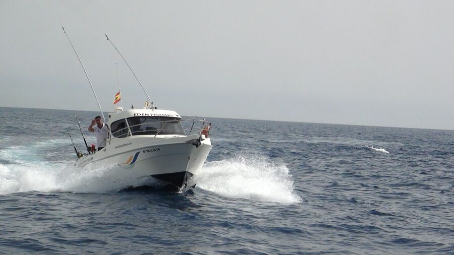 Adeje: 3.5–Hour Professional Fishing Experience - Setting out from Puerto Colón