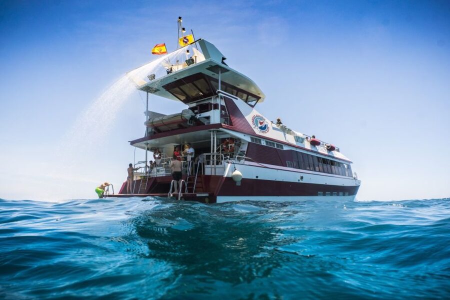 Adeje: Whale and Dolphin Watching Cruise with Lunch and Swim - Why Tenerife’s southwest coast is a good place for whale watching