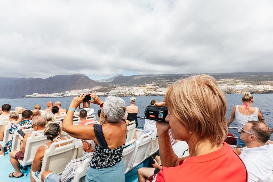 Adeje: Whale and Dolphin Watching Cruise with Lunch and Swim - Unlimited drinks add real value to the $59 price