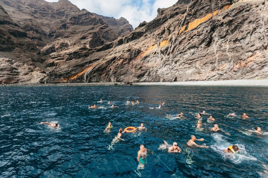 Adeje: Whale and Dolphin Watching Cruise with Lunch and Swim - What the boat feels like in practice