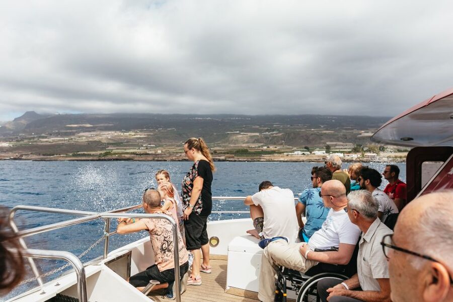 Adeje: Whale and Dolphin Watching Cruise with Lunch and Swim - Families, mobility, and the small practical details