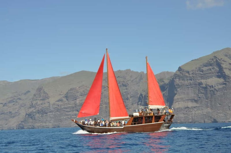 Adeje: Whale Watching Tour to Los Gigantes with lunch & swim - Cancellation and booking flexibility