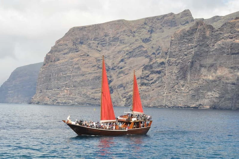 Adeje: Whale Watching Tour to Los Gigantes with lunch & swim - The cliffs of Los Gigantes from sea level