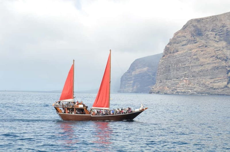 Adeje: Whale Watching Tour to Los Gigantes with lunch & swim - Seasickness, seating, and practical comfort