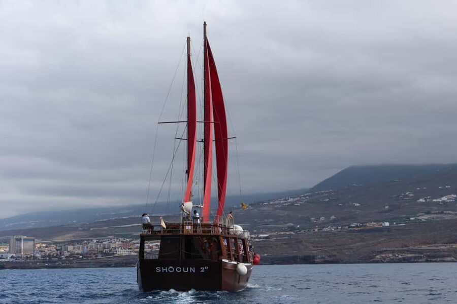 Adeje: Whale Watching Tour to Los Gigantes with lunch & swim - Who will enjoy this tour most?
