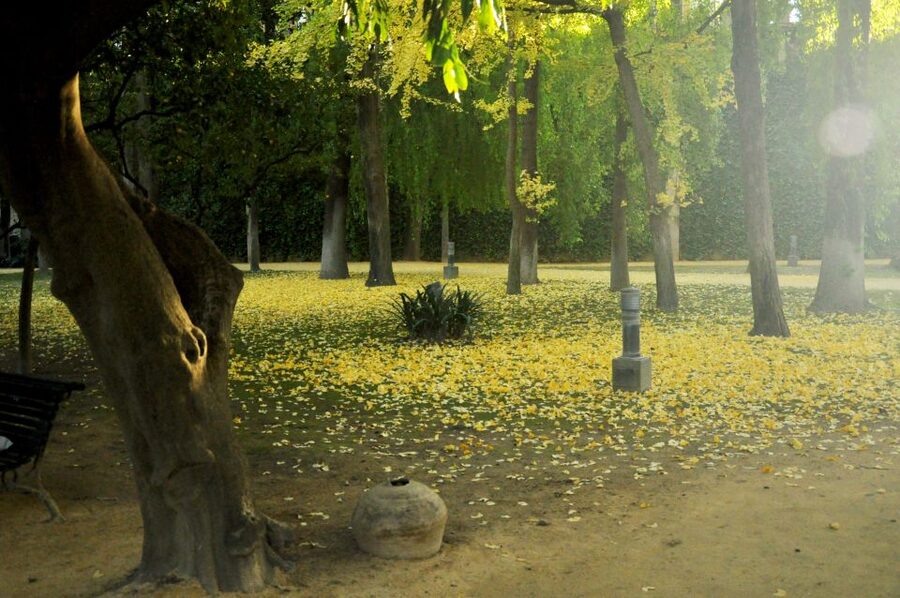 Alcázar of Seville Skip-the-Line Tickets and Guided Tour - Who will get the most from this tour?