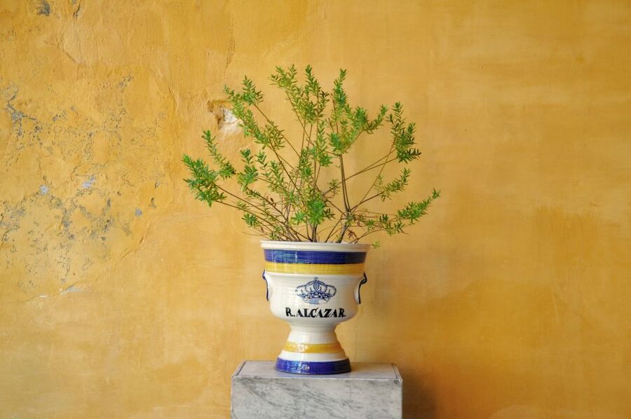 Alcázar of Seville Skip-the-Line Tickets and Guided Tour - Small details that make the visit easier