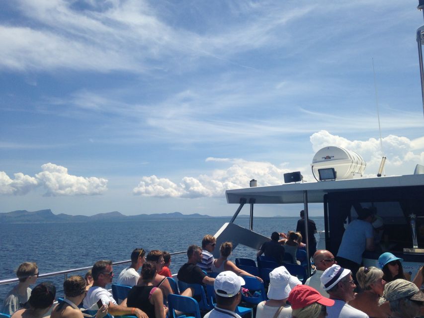 Alcudia: Boat Trip to Cap de Formentor and Formentor - Coll Baix and the northern coast