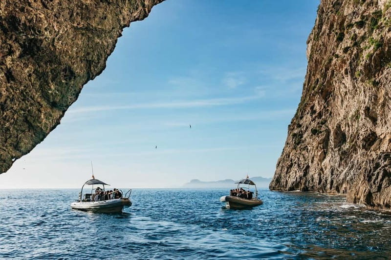Alcudia or Can Picafort: Dolphin-Watching Cruise - Key points before you book