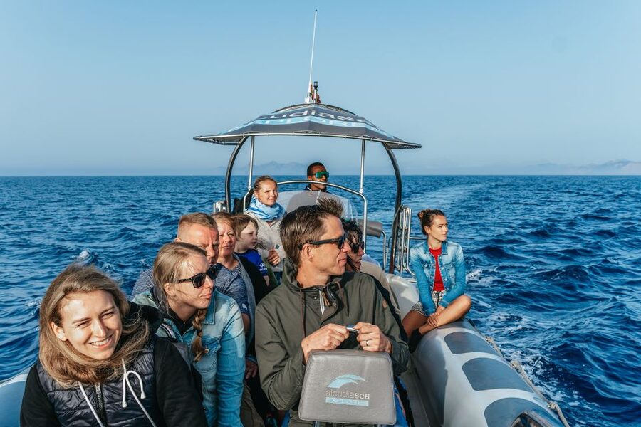Alcudia or Can Picafort: Dolphin-Watching Cruise - Practical packing advice for three hours at sea