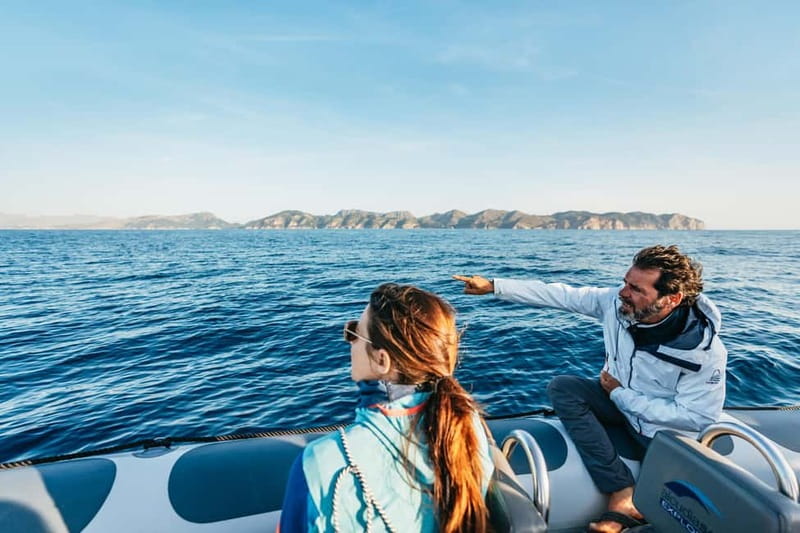 Alcudia or Can Picafort: Dolphin-Watching Cruise - Finding dolphins in their natural habitat