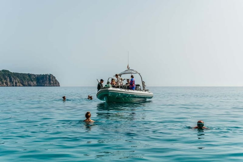 Alcudia or Can Picafort: Dolphin-Watching Cruise - Sea caves and the cliffs of northern Mallorca
