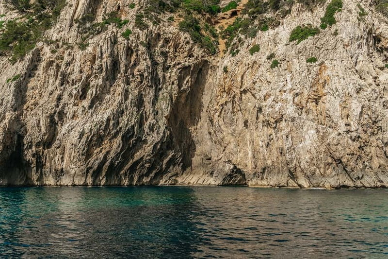 Alcudia or Can Picafort: Dolphin-Watching Cruise - What the $91 price includes