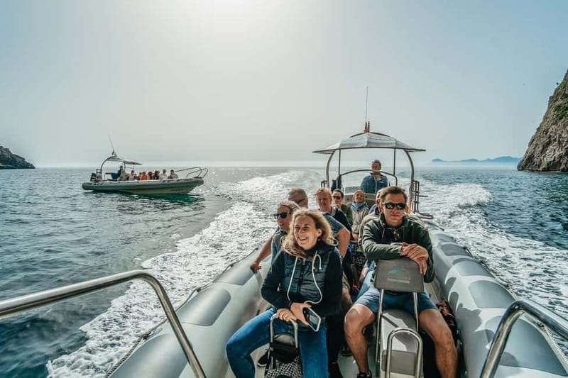 Alcudia or Can Picafort: Dolphin-Watching Cruise - Who will enjoy this boat trip most?
