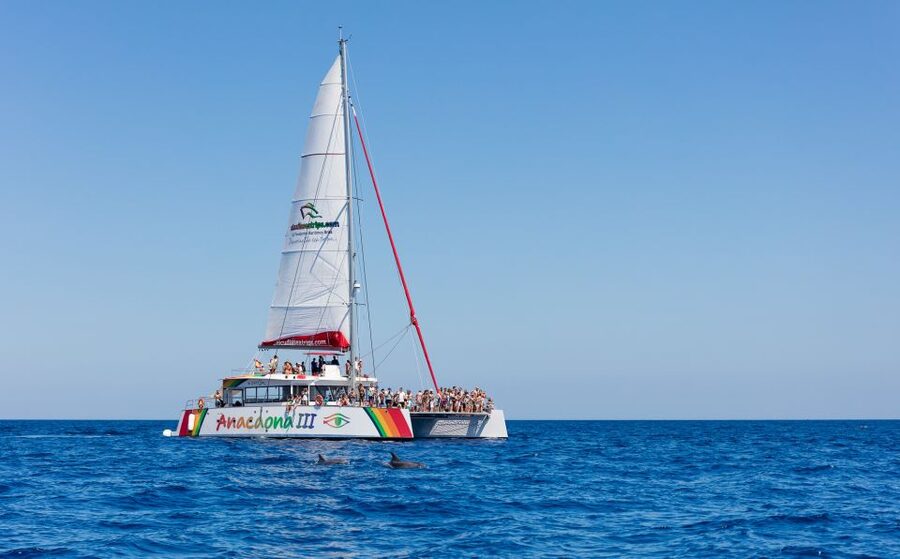Alcudia: Sunset Catamaran Tour with Dinner and Snorkeling - Setting sail from Alcudia toward northern Mallorca
