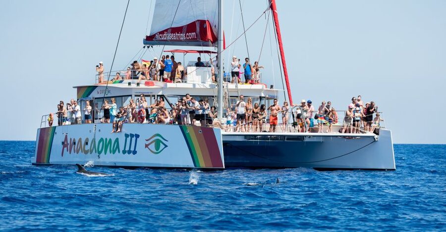 Alcudia: Sunset Catamaran Tour with Dinner and Snorkeling - Dinner on board, with a simple island-cruise menu