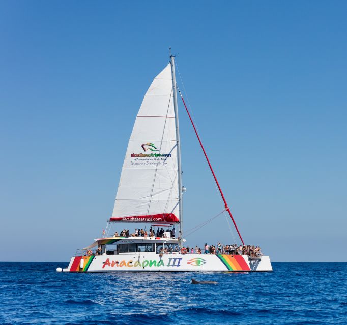 Alcudia: Sunset Catamaran Tour with Dinner and Snorkeling - Sunset views from the bay