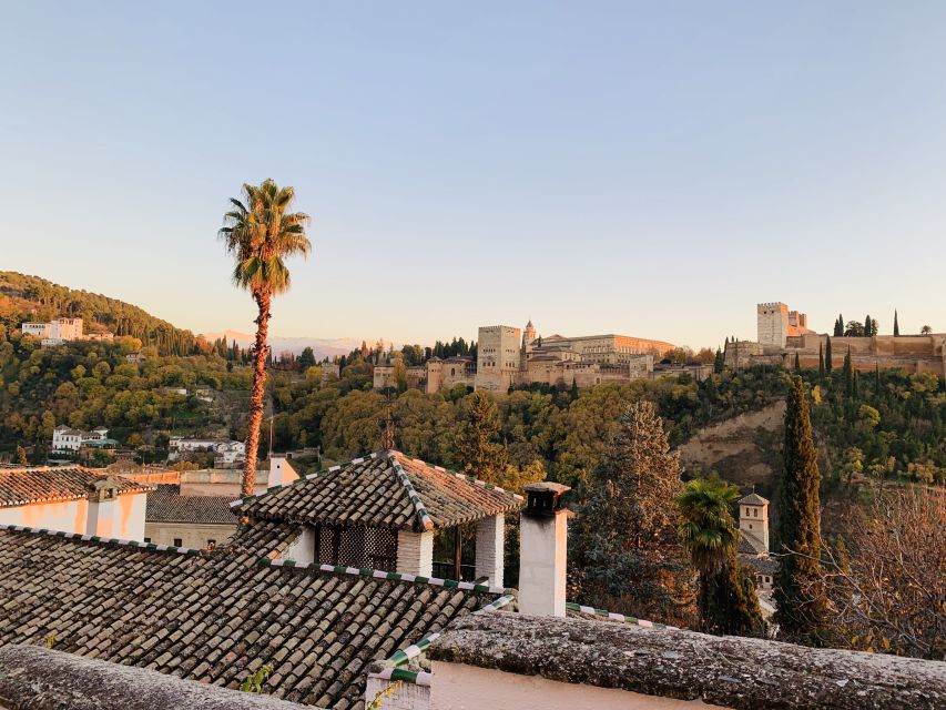 Alhambra and Nasrid Palaces Guided Tour with Tickets - What $230 buys you