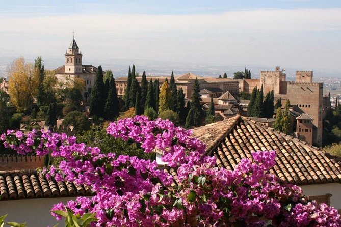 Alhambra &Charles Palace Guided Tour with Optional Nasrid Palaces - Guide quality, group size, and language