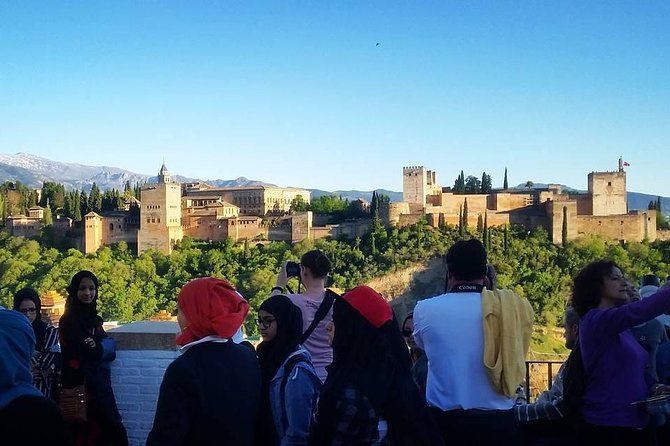 Alhambra &Charles Palace Guided Tour with Optional Nasrid Palaces - The Nasrid Palaces: the reason to choose the full option