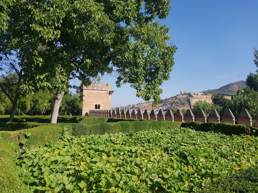 Alhambra: Generalife Gardens & Alcazaba Fast-Track Tour - What the guide adds