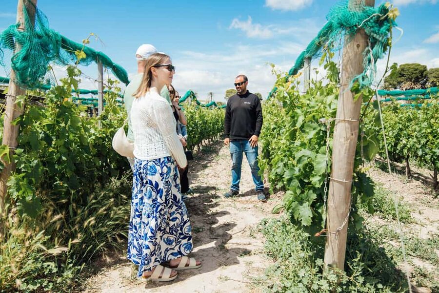 Alicante: Countryside Wine Tour with 4 Tastings - Key points at a glance