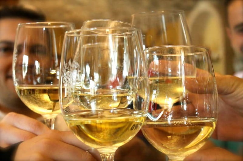 Alicante: Countryside Wine Tour with 4 Tastings - Four wines, local snacks, and a relaxed tasting