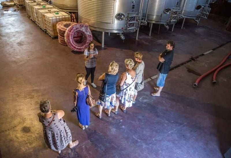 Alicante: Countryside Wine Tour with 4 Tastings - Walking through a working family winery