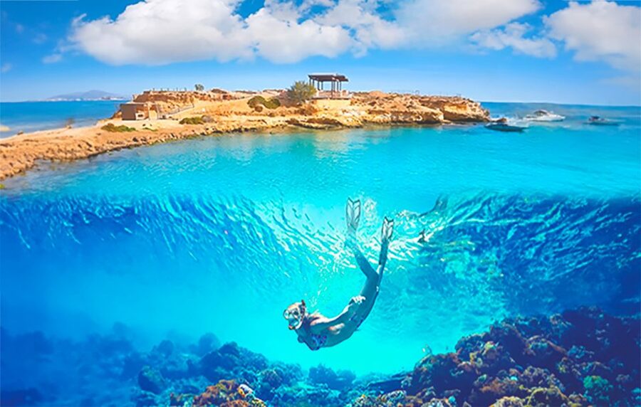 Alicante : E-Bike Coast Tour, Roman Fish Farm and Snorkeling - Key points to know before you book