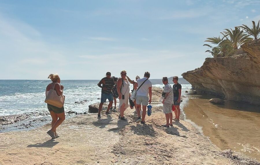 Alicante : E-Bike Coast Tour, Roman Fish Farm and Snorkeling - Snorkeling with fish and sea plants
