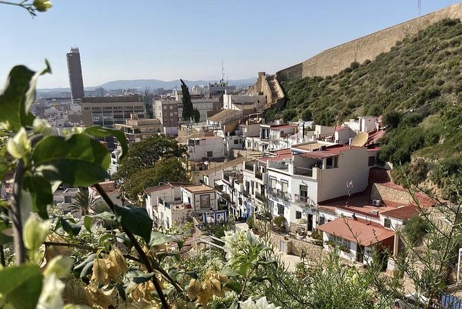 Alicante Historic Small Group Tour with Tapas Tasting - What $35.07 buys you