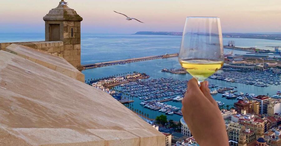 Alicante: Santa Bárbara Castle Wine Tasting with Cold Cuts - What happens during the 45-minute tasting