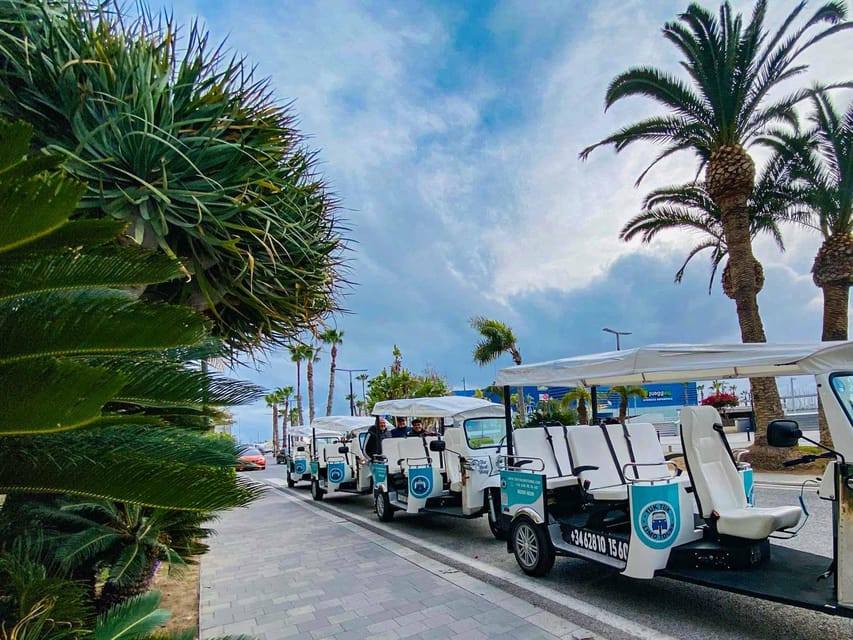 Alicante Tuk Tuk Overview Tour - San Juan Beach: the long coastal stretch