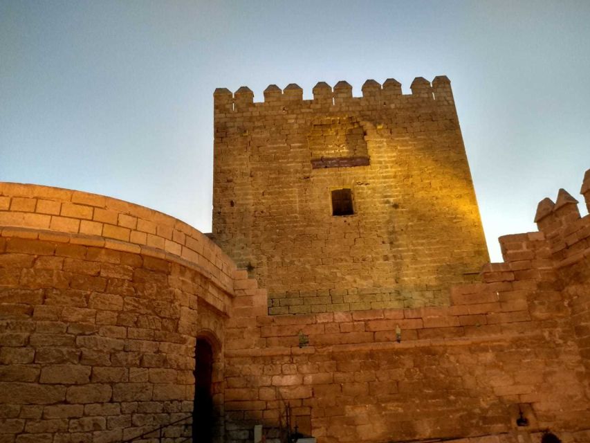 Almeria: Alcazaba Guided Tour - Patios, gardens, and water pools