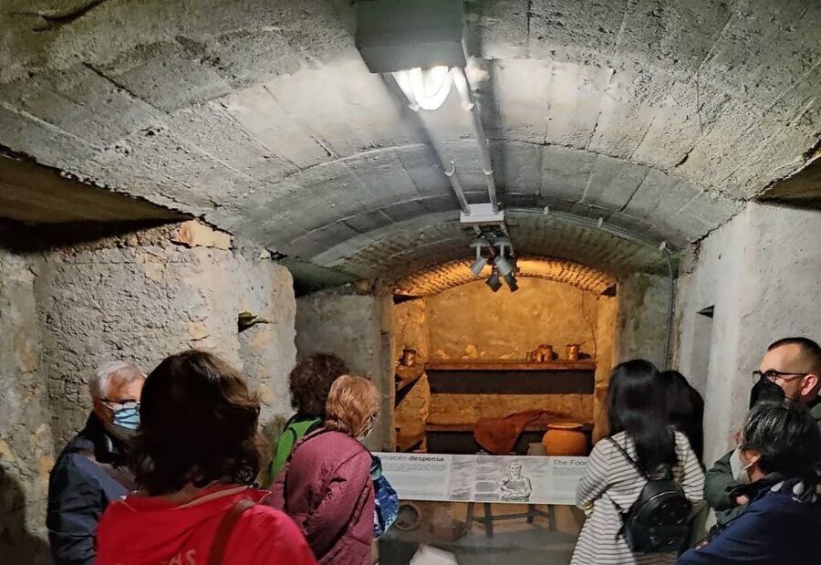 Almeria: Spanish Civil War Shelters Ticket and Official Tour - Walking the 1-kilometer gallery system