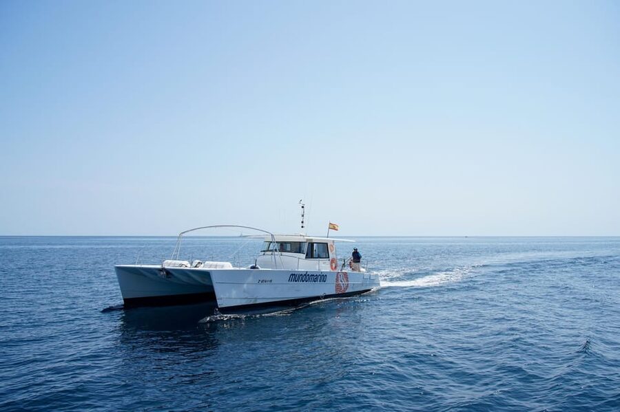 Altea: Catamaran Tour with Sunset Option - Is $17 a fair price?