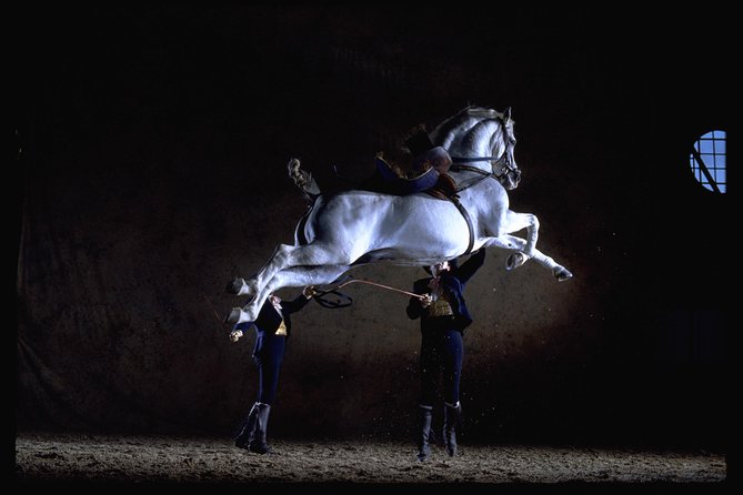 Andalusian Horses Dance Show - Why the Andalusian Horse Show Is Special
