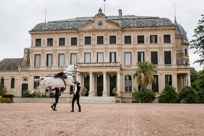 Andalusian Horses Dance Show - Seating Can Shape the Experience