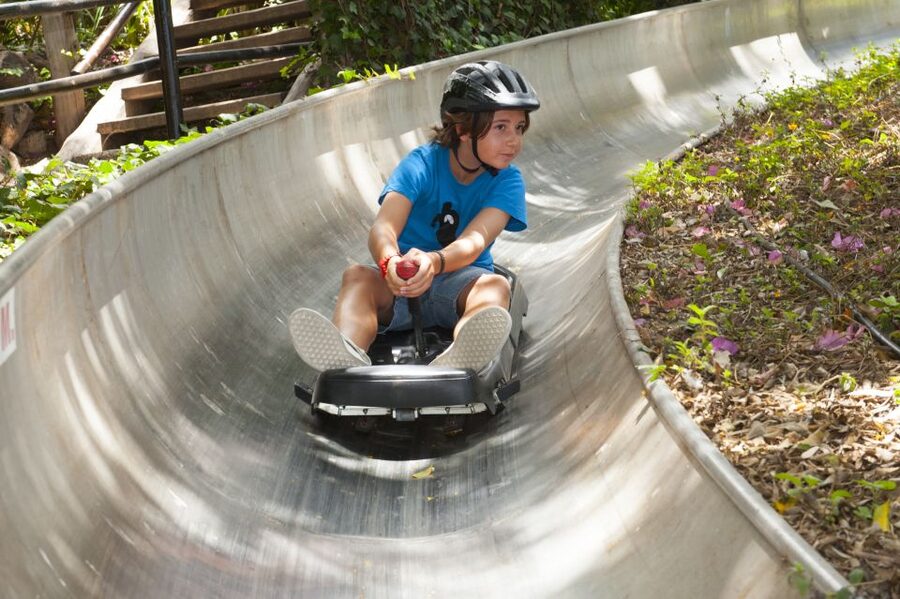 Arona: Entry Ticket to Tenerife's Jungle Park Zoo - Why Jungle Park feels different from a standard zoo