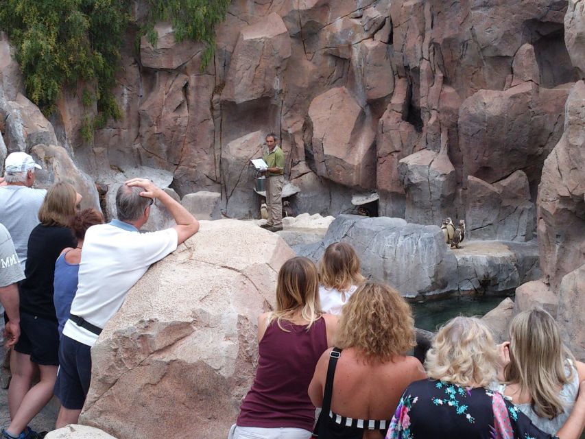 Arona: Entry Ticket to Tenerife's Jungle Park Zoo - The lemur walk is a simple but memorable encounter
