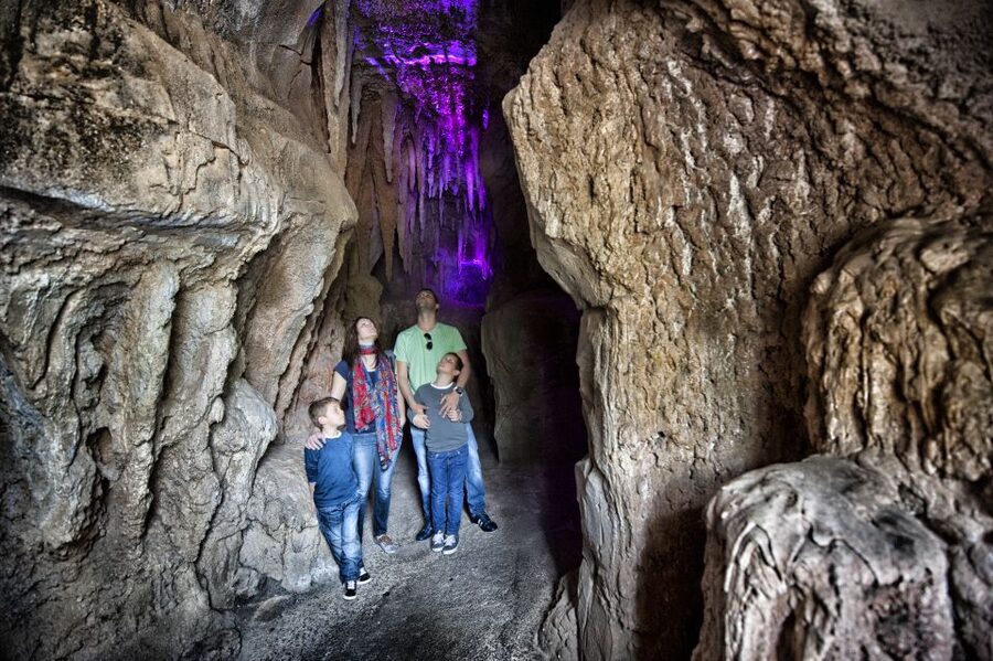 Arona: Entry Ticket to Tenerife's Jungle Park Zoo - Follow the paths to caves, bridges, and hidden corners