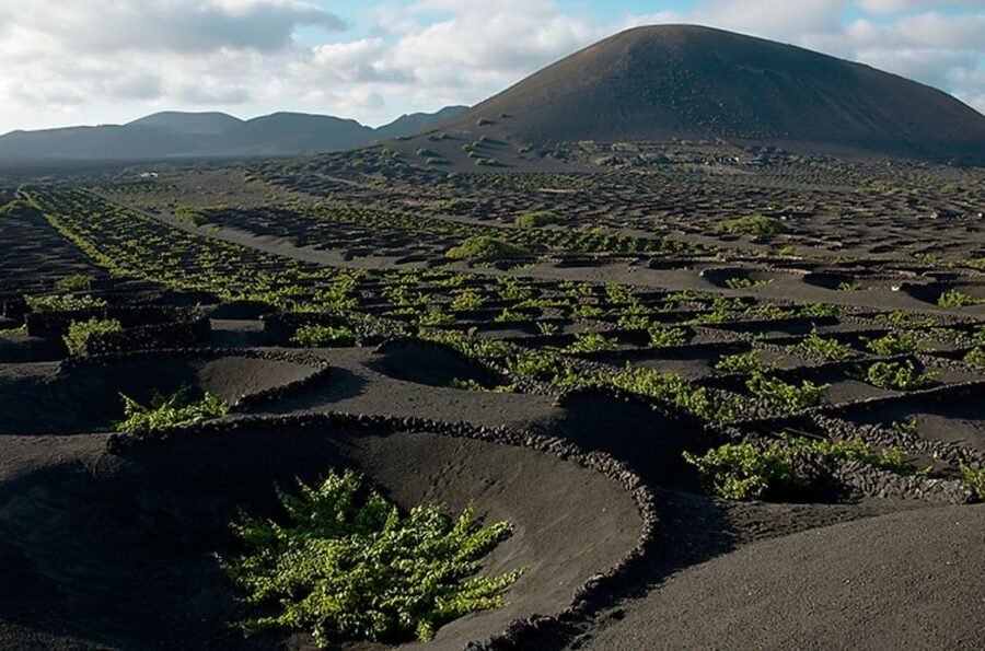 Arrecife/Playa Blanca: Timanfaya National Park Area Day Tour - Timanfaya is the reason to take this tour